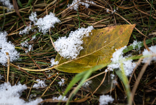 Улаанбаатарт өдөртөө +6...+8 хэм дулаан байна